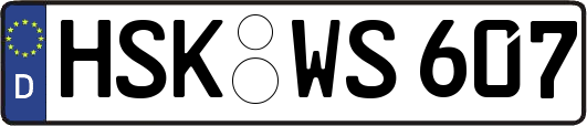 HSK-WS607