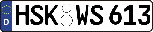 HSK-WS613