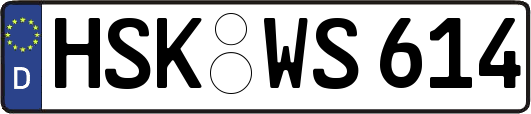 HSK-WS614