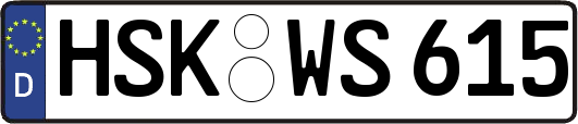 HSK-WS615