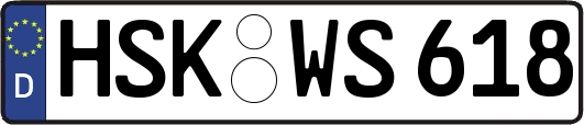 HSK-WS618