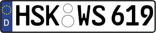 HSK-WS619