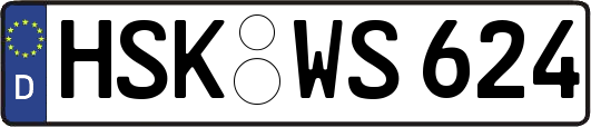 HSK-WS624