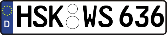 HSK-WS636