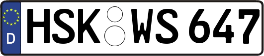 HSK-WS647
