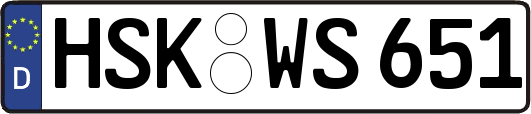 HSK-WS651