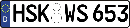 HSK-WS653