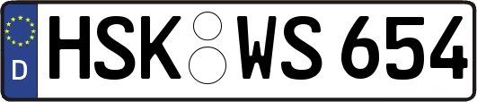HSK-WS654