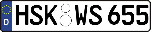 HSK-WS655