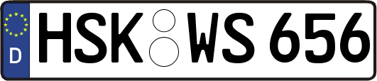 HSK-WS656