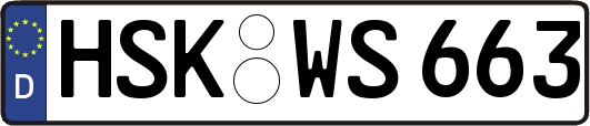 HSK-WS663