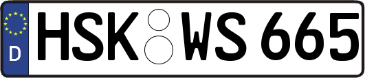 HSK-WS665