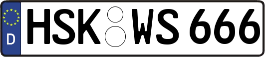 HSK-WS666