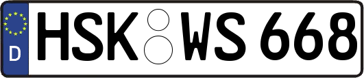 HSK-WS668