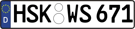HSK-WS671