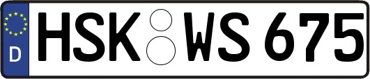 HSK-WS675
