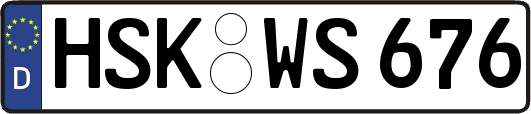 HSK-WS676