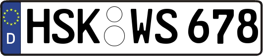 HSK-WS678