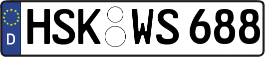 HSK-WS688