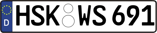 HSK-WS691