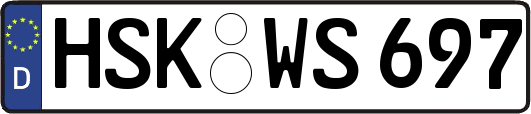 HSK-WS697