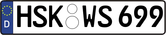 HSK-WS699