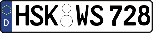 HSK-WS728