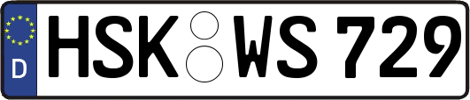 HSK-WS729