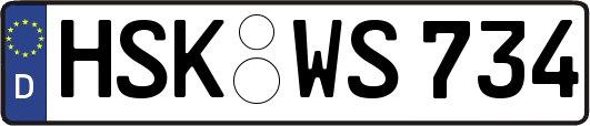 HSK-WS734