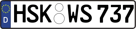 HSK-WS737