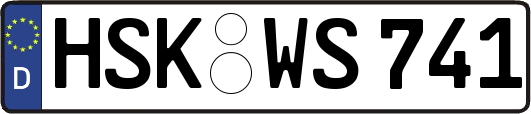 HSK-WS741