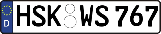 HSK-WS767