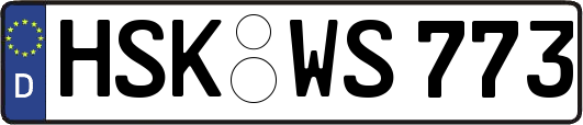 HSK-WS773