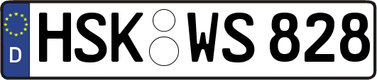 HSK-WS828