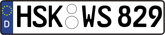 HSK-WS829