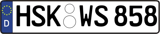 HSK-WS858