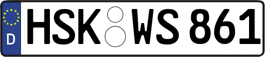 HSK-WS861