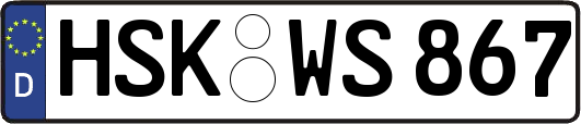 HSK-WS867