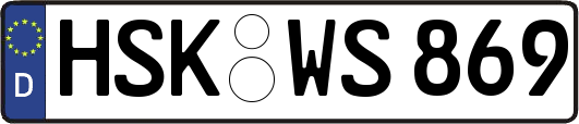 HSK-WS869