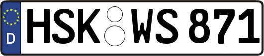 HSK-WS871
