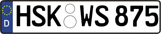 HSK-WS875