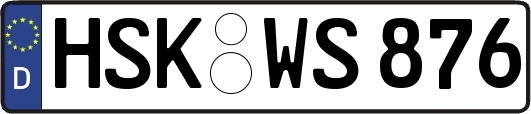 HSK-WS876