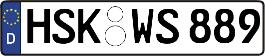 HSK-WS889