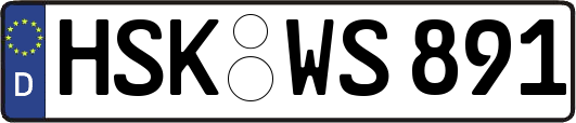 HSK-WS891