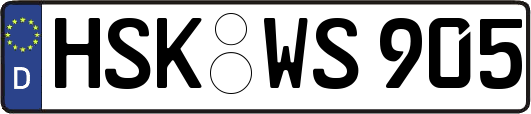 HSK-WS905