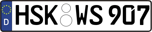 HSK-WS907