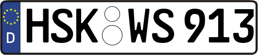 HSK-WS913