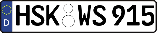 HSK-WS915