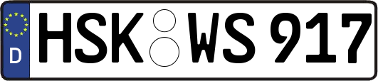 HSK-WS917