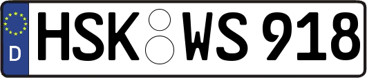 HSK-WS918